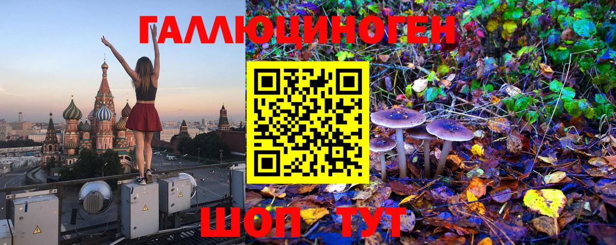Псилоцибиновые грибы Magic Shrooms  Псилоцибиновые грибы прущие грибы  Слободской  Вход с VPN 